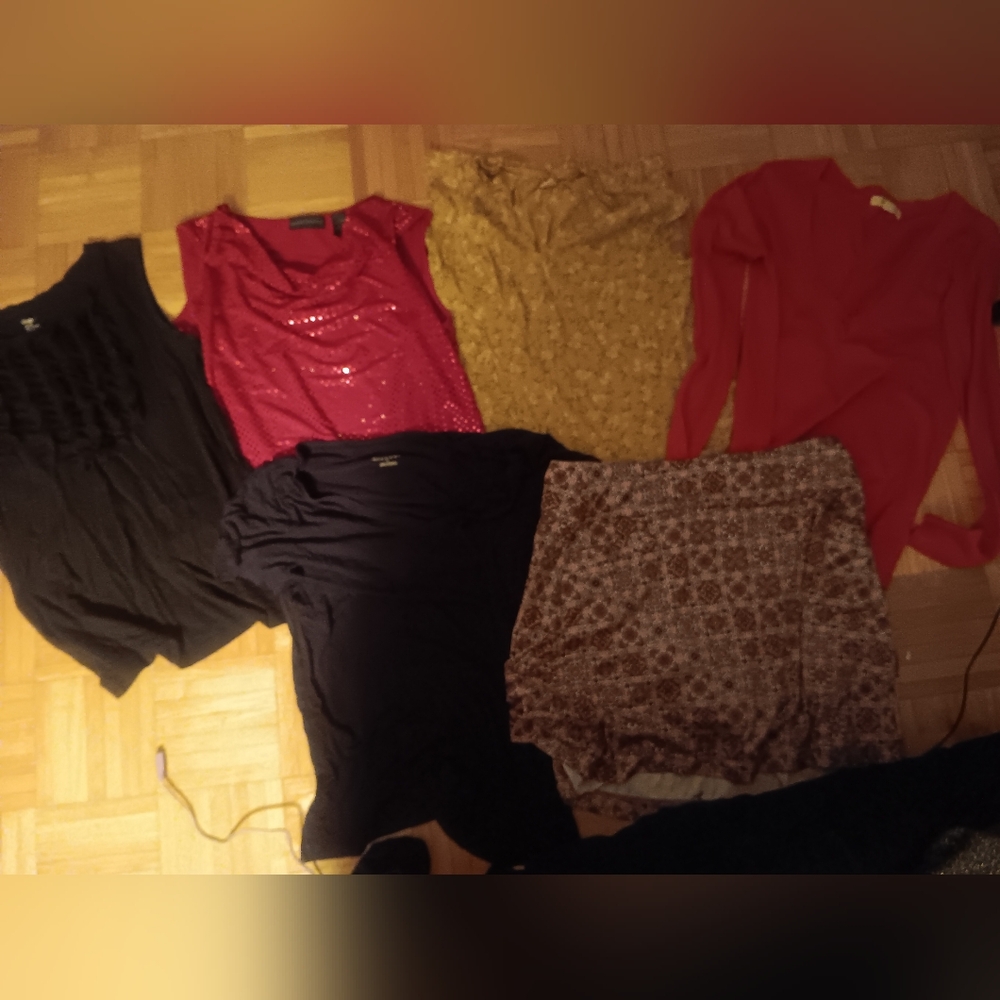 36 Pc Women's Clothing Bundle